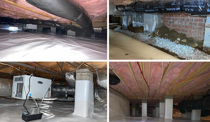 Collage of different types of crawlspace services.
