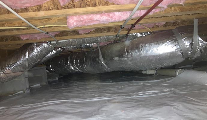 Crawl-space mold removal