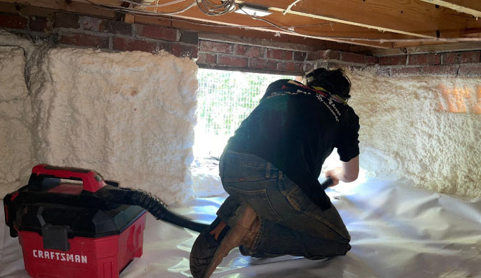 Professional crawl space waterproofing service