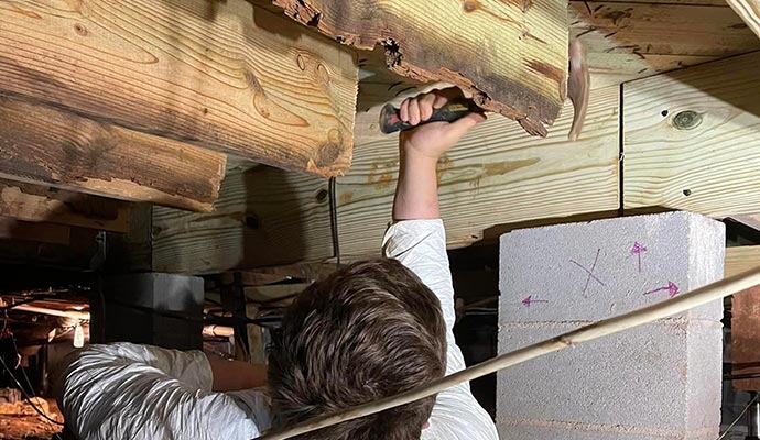 Professional worker repairing crawl space