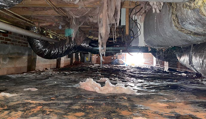 Damaged crawl space interior