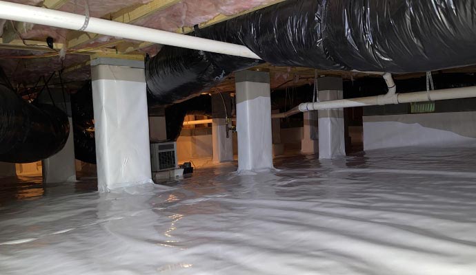 Moisture control service