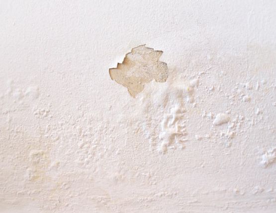 Wall with peeling paint