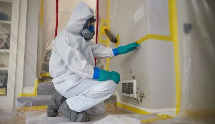 Mold prevention denver charlotte north carolina 3