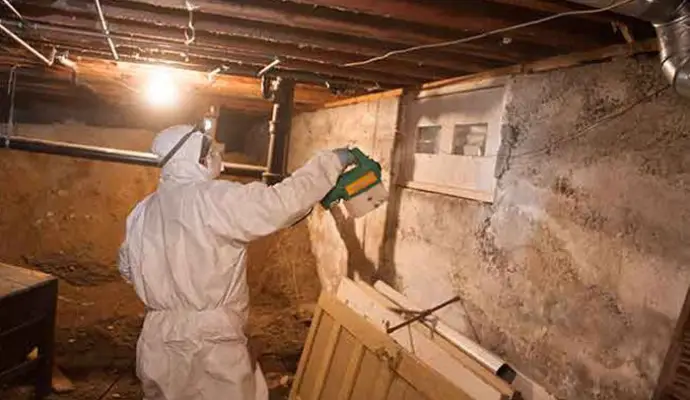 Mold Prevention in Lake Norman, Denver & Charlotte | DryWorx
