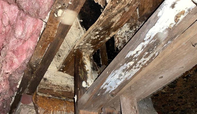 Rotten wood in crawl space