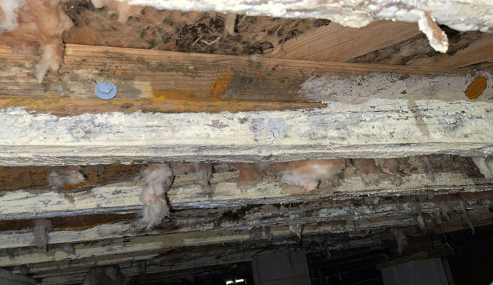 Dry rot repair
